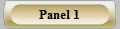 Panel 1