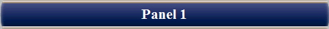 Panel 1