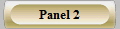 Panel 2