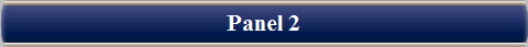 Panel 2
