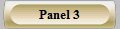 Panel 3