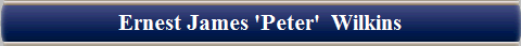 Ernest James 'Peter'  Wilkins