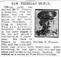 tn_Plumer_F - article