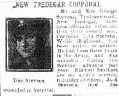 tn_Stevens_Tom - article